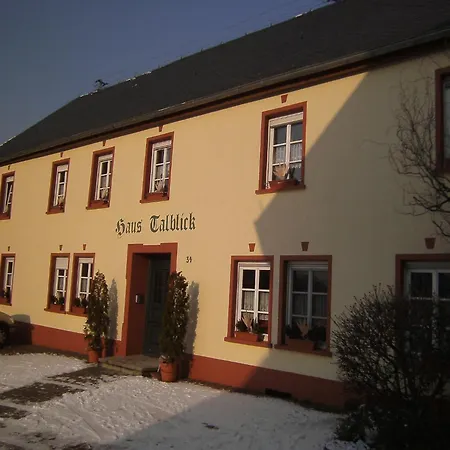 In Morbach Near Lift, Cleaning Included Daire