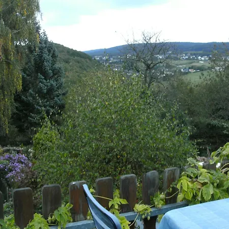 In Morbach Near Lift, Cleaning Included Daire *